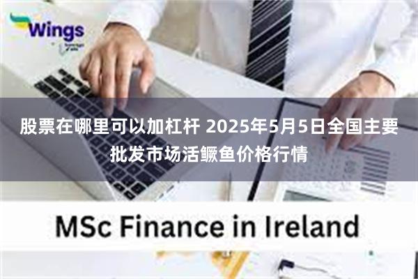 股票在哪里可以加杠杆 2025年5月5日全国主要批发市场活鳜鱼价格行情