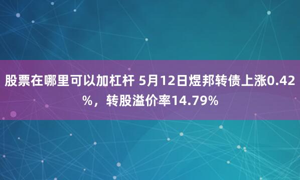 股票在哪里可以加杠杆 5月12日煜邦转债上涨0.42%，转股溢价率14.79%
