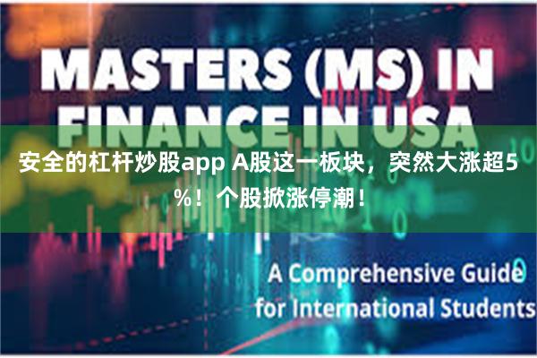 安全的杠杆炒股app A股这一板块，突然大涨超5%！个股掀涨停潮！