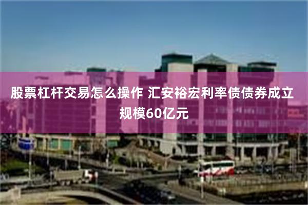 股票杠杆交易怎么操作 汇安裕宏利率债债券成立 规模60亿元