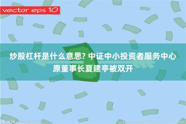 炒股杠杆是什么意思? 中证中小投资者服务中心原董事长夏建亭被双开