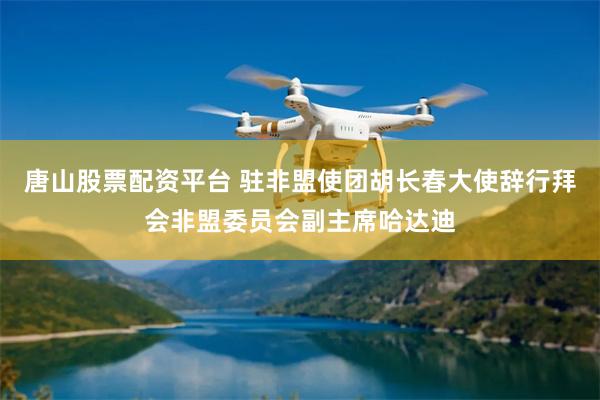 唐山股票配资平台 驻非盟使团胡长春大使辞行拜会非盟委员会副主席哈达迪