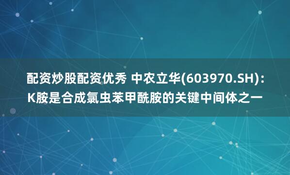 配资炒股配资优秀 中农立华(603970.SH)：K胺是合成氯虫苯甲酰胺的关键中间体之一