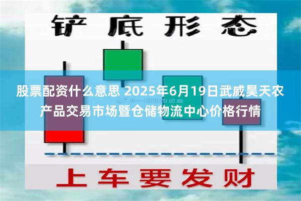 股票配资什么意思 2025年6月19日武威昊天农产品交易市场暨仓储物流中心价格行情