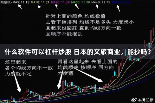 什么软件可以杠杆炒股 日本的文旅商业，能抄吗？