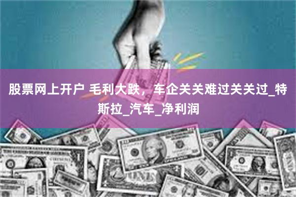 股票网上开户 毛利大跌，车企关关难过关关过_特斯拉_汽车_净利润