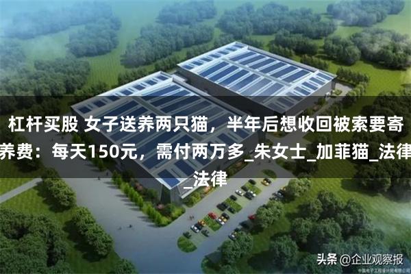 杠杆买股 女子送养两只猫，半年后想收回被索要寄养费：每天150元，需付两万多_朱女士_加菲猫_法律