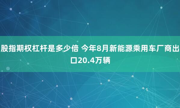 股指期权杠杆是多少倍 今年8月新能源乘用车厂商出口20.4万辆