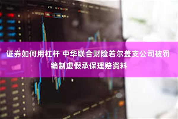 证券如何用杠杆 中华联合财险若尔盖支公司被罚 编制虚假承保理赔资料